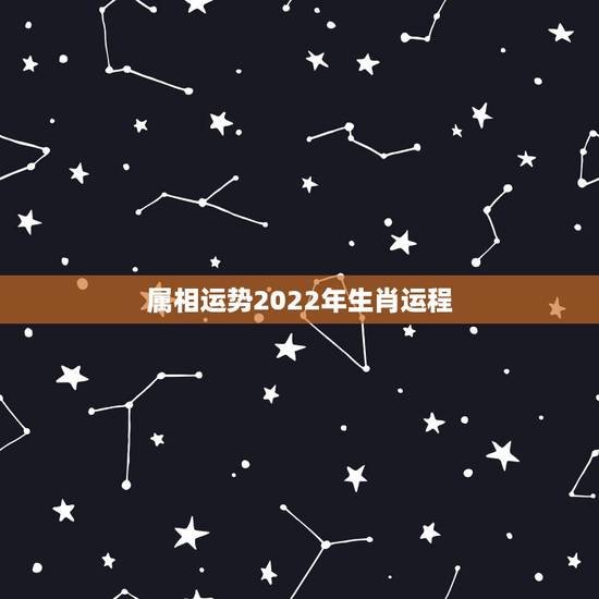 属相运势2022年生肖运程，2022年哪些生肖运势好今天什么生肖最旺财