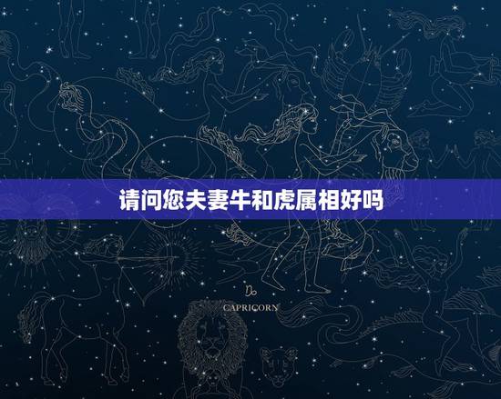 请问您夫妻牛和虎属相好吗,生肖:蛇和鸡配吗? 请问您夫妻牛和虎属相好吗,生肖:蛇和鸡配吗?