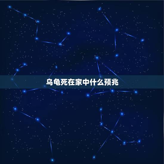 乌龟死在家中什么预兆，乌龟死在家里是吉是凶