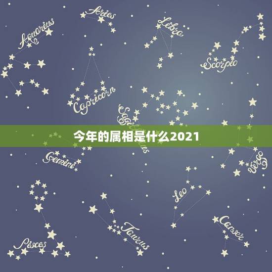 今年的属相是什么2021，2021年今天属相是什么