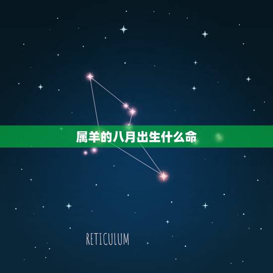 属羊的八月出生什么命，8月羊一生命运如何