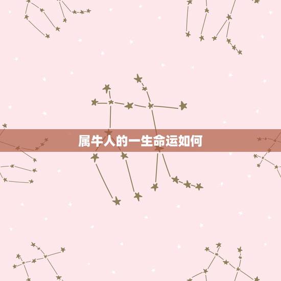 属牛人的一生命运如何,73年属牛48岁2022 劫难 属牛人的一生命运如何,73年属牛48岁2022 劫难