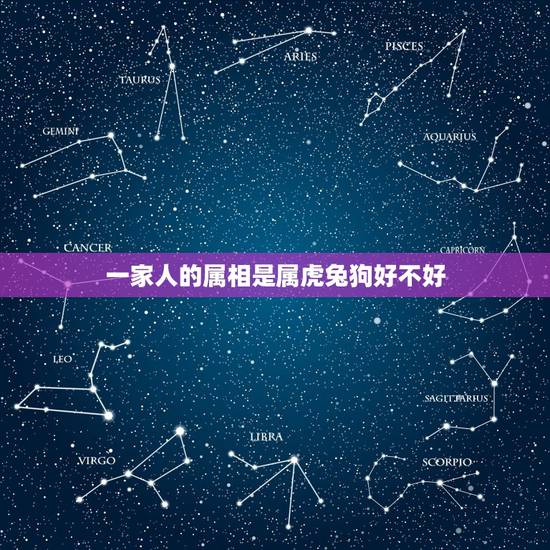 一家人的属相是属虎兔狗好不好,一家4口4生肖有龙马兔狗好吗 一家人的属相是属虎兔狗好不好,一家4口4生肖有龙马兔狗好吗