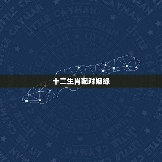 十二生肖配对姻缘,生肖婚姻更佳配对表大全 十二生肖配对姻缘,生肖婚姻更佳配对表大全