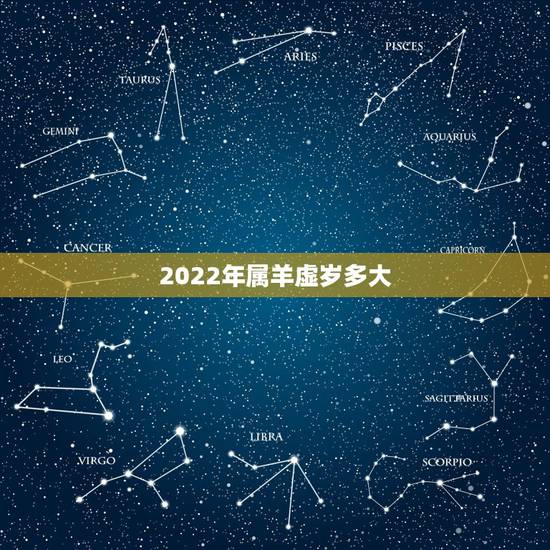 2022年属羊虚岁多大,93年虚岁多大2022 年 2022年属羊虚岁多大,93年虚岁多大2022 年