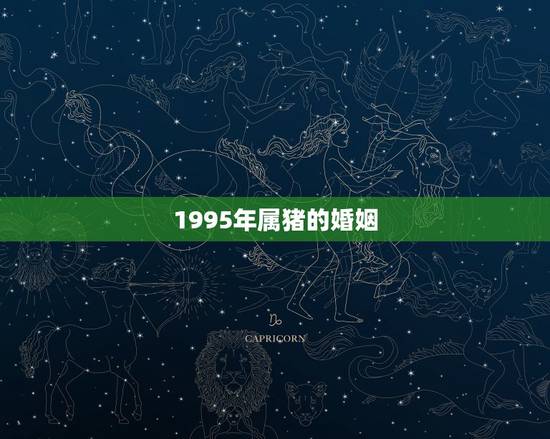 1995年属猪的婚姻，1995年属猪和猪同婚姻