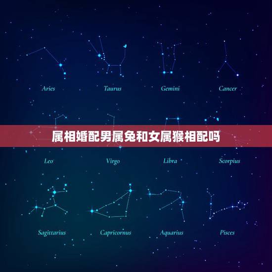 属相婚配男属兔和女属猴相配吗，男属兔女属猴相配吗 详细？