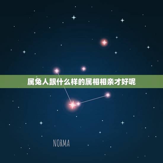 属兔人跟什么样的属相相亲才好呢，属兔的因该找什么样的对象好 呢？