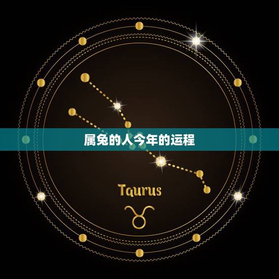 属兔的人今年的运程，农历生日看一生命运