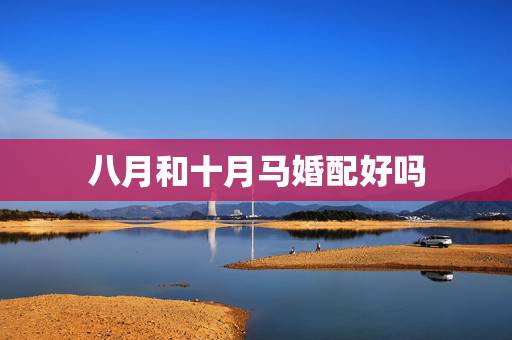 八月和十月马婚配好吗，八月出生属狗和九月出生属马婚姻相配吗