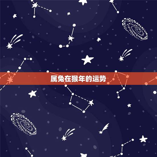 属兔在猴年的运势,兔和猴在一起财运如何 属兔在猴年的运势,兔和猴在一起财运如何