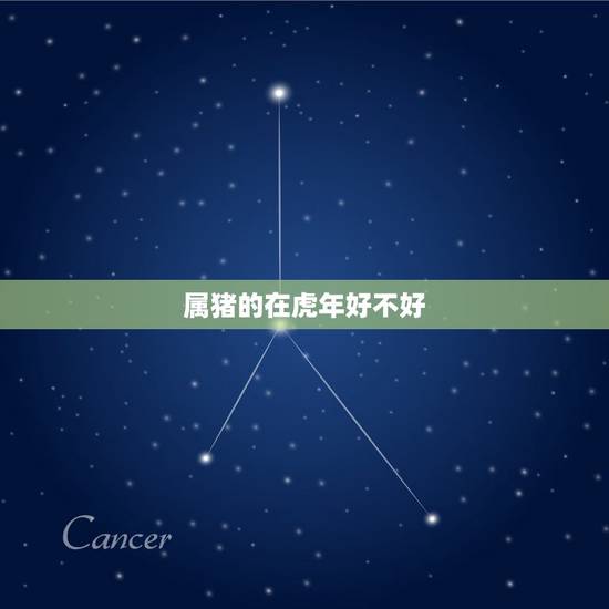 属猪的在虎年好不好，属猪和属虎相冲吗