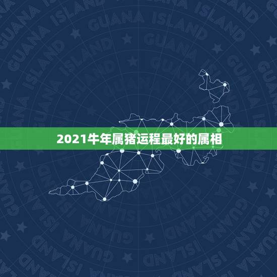2021牛年属猪运程最好的属相，属猪人2021年运势运程每月运程