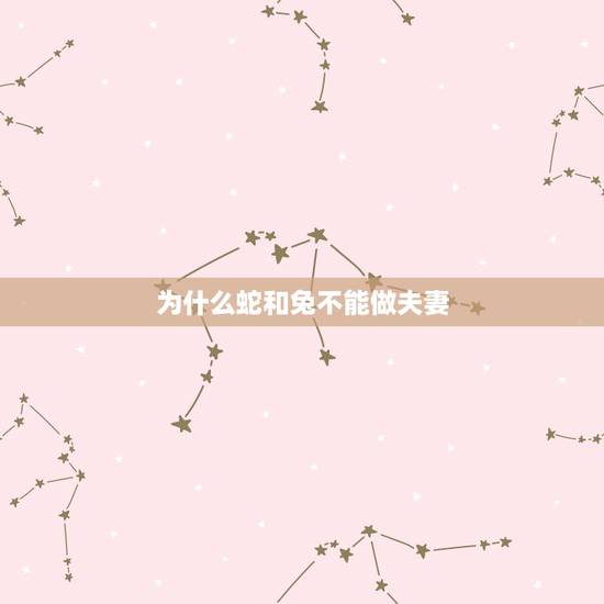 为什么蛇和兔不能做夫妻，蛇兔爱情故事传说