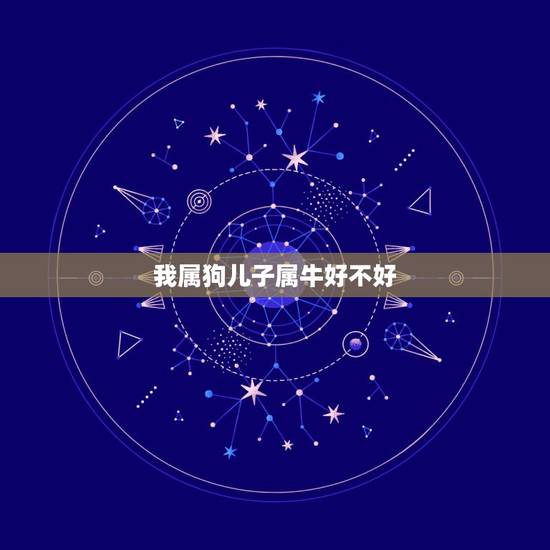 我属狗儿子属牛好不好，我属狗，妻子属牛，儿子属兔，我打算在2010年9