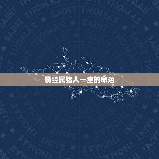 易经属猪人一生的命运,男人早期一年7月23属猪人运气1917年运势 易经属猪人一生的命运,男人早期一年7月23属猪人运气1917年运势