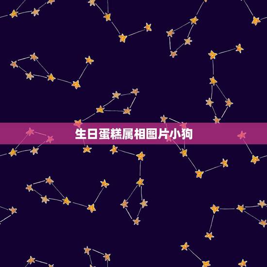 生日蛋糕属相图片小狗，生日蛋糕上不做属相好吗