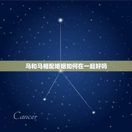 马和马相配婚姻如何在一起好吗,生肖马和生肖马配吗 马和马相配婚姻如何在一起好吗,生肖马和生肖马配吗
