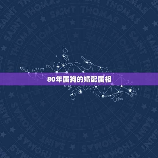 80年属狗的婚配属相，1982年属狗的人和1980属猴的在婚姻上配什么