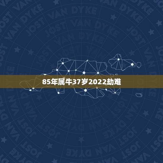 85年属牛37岁2022劫难 85年属牛人终身宿命