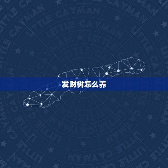 发财树怎么养，发财树怎么养？
