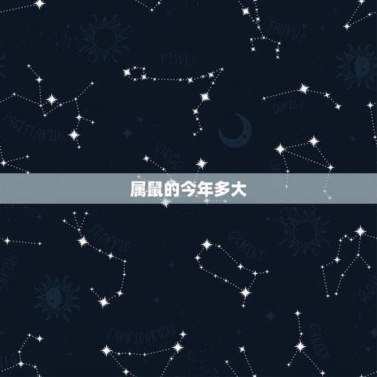 属鼠的今年多大，属蛇人一辈子的克星
