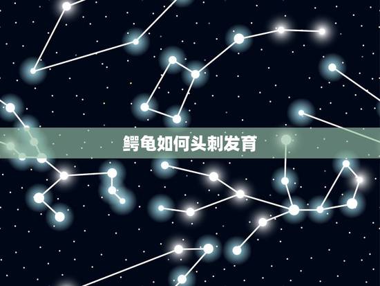 鳄龟如何头刺发育,怎么养鳄龟爆刺 鳄龟如何头刺发育,怎么养鳄龟爆刺