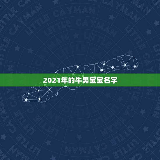 2021年的牛男宝宝名字，男孩名字2021年属牛怎么取？