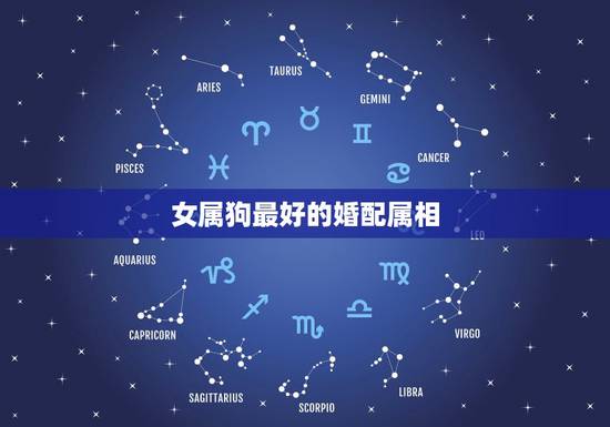 女属狗最好的婚配属相，女属狗的属相婚配表大全集