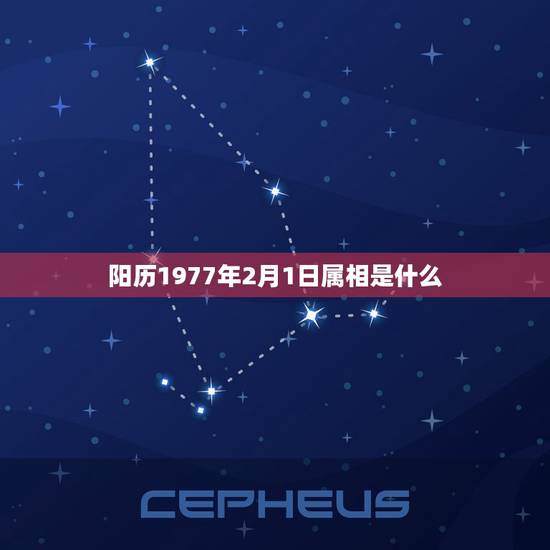 阳历1977年2月1日属相是什么,1977年属什么生肖 阳历1977年2月1日属相是什么,1977年属什么生肖