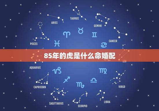 85年的虎是什么命婚配,属相85年牛和86年虎婚配相克吗? 85年的虎是什么命婚配,属相85年牛和86年虎婚配相克吗?