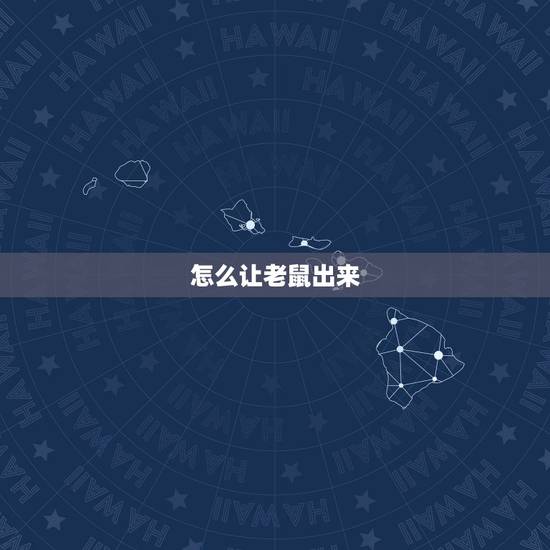 怎么让老鼠出来，怎么能把躲的老鼠给引出来