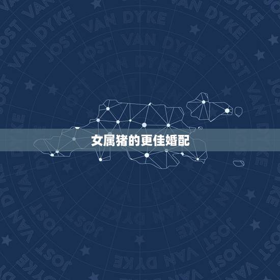 女属猪的更佳婚配,属猪2022年运程 女属猪的更佳婚配,属猪2022年运程