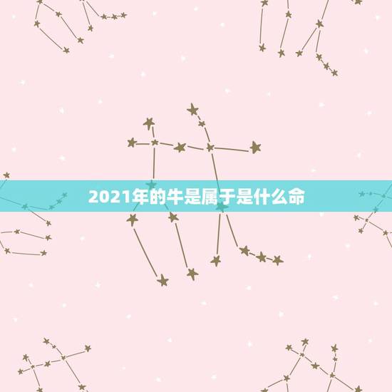 2021年的牛是属于是什么命，2021年出生的牛宝宝是什么命