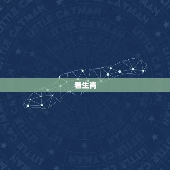 看生肖 看生肖