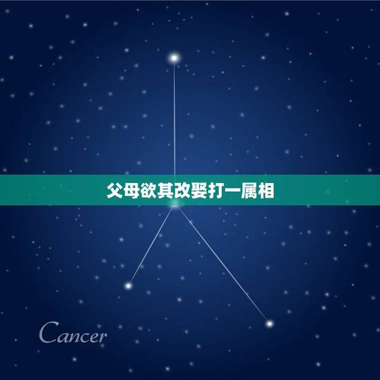 父母欲其改娶打一属相，父母欲其改娶打一生肖/五字金口决是什么意思