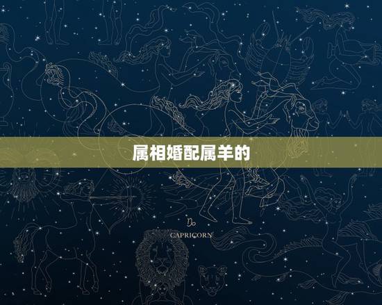 属相婚配属羊的,属羊的属相婚配表 属相婚配属羊的,属羊的属相婚配表