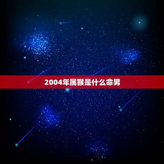 2004年属猴是什么命男，2004年属猴的，该是什么命