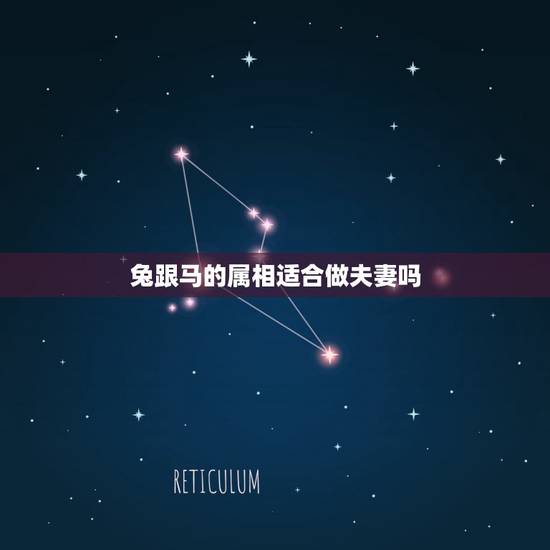 兔跟马的属相适合做夫妻吗,属相婚配:男属兔和女属马相配吗 兔跟马的属相适合做夫妻吗,属相婚配:男属兔和女属马相配吗