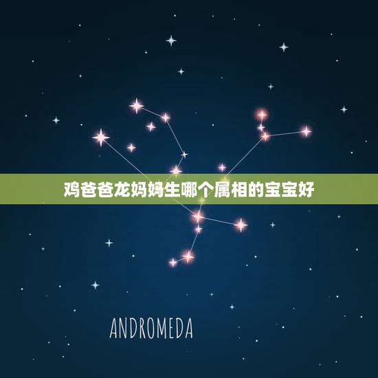 鸡爸爸龙妈妈生哪个属相的宝宝好，妈妈属猴，爸爸属鸡，生哪个属相的宝宝好