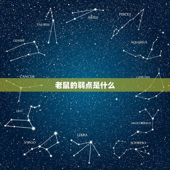 老鼠的弱点是什么，各种动物的弱点