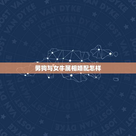 男狗与女牛属相婚配怎样，属相马的男生和属相狗的女生怎么样