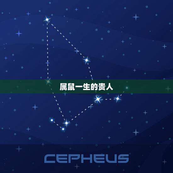 属鼠一生的贵人，属鼠女几月出生更好命
