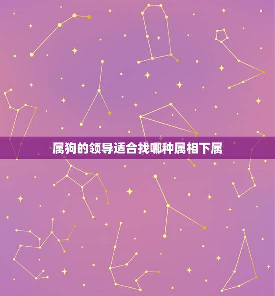 属狗的领导适合找哪种属相下属，男属狗的和什么属相最配