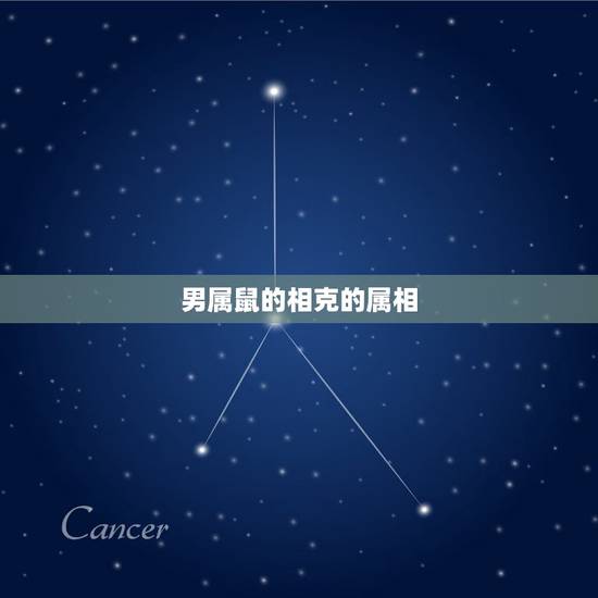 男属鼠的相克的属相,属鼠相克的属相是什么 男属鼠的相克的属相,属鼠相克的属相是什么