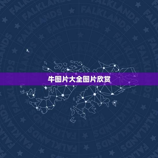 牛图片大全图片欣赏，牛肉主要部位示意图及介绍，越详细越好