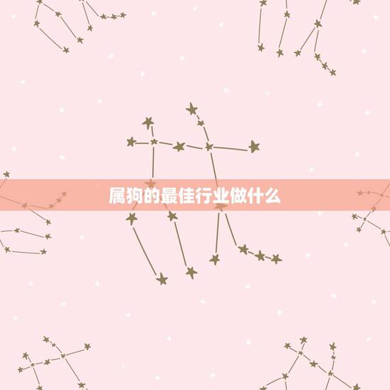 属狗的最佳行业做什么，属狗的适合干什么职业
