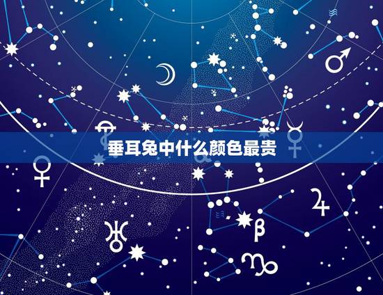 垂耳兔中什么颜色最贵，垂耳兔颜色排行