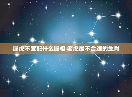 属虎不宜配什么属相 老虎最不合适的生肖