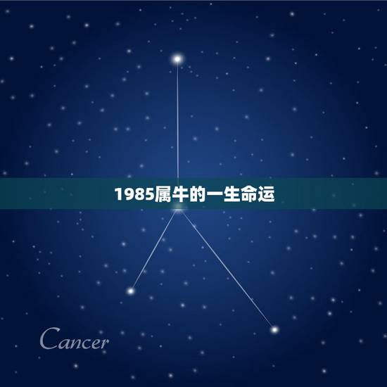 1985属牛的一生命运,1985属牛人2021年全年运势 1985属牛的一生命运,1985属牛人2021年全年运势